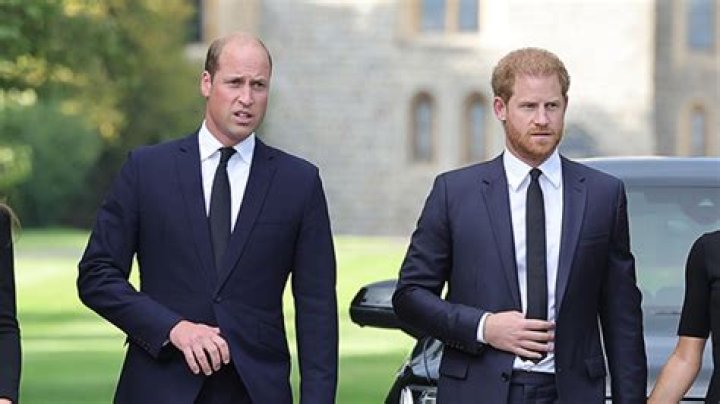 Prince William & Prince Harry Reportedly Have ‘No Plans’ to Reunite Amidst Dad Charles’ Cancer Diagnosis