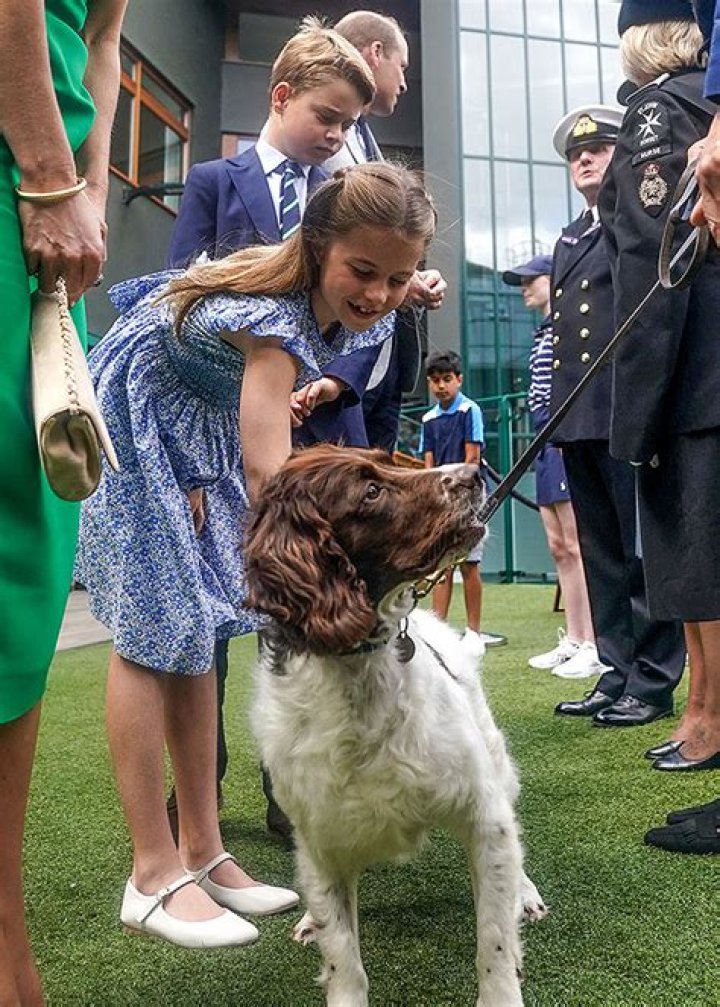 Princess Charlotte & Prince George Attend Wimbledon With Parents – Hollywood Life