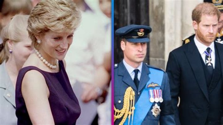 Princess Diana Would Be ‘Extremely Disappointed’ By Harry & William’s Rift Her Biographer Claims