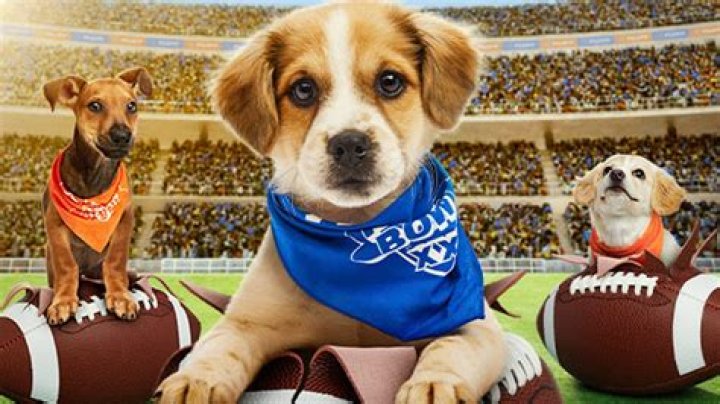 Puppy Bowl 2017 — See Pics