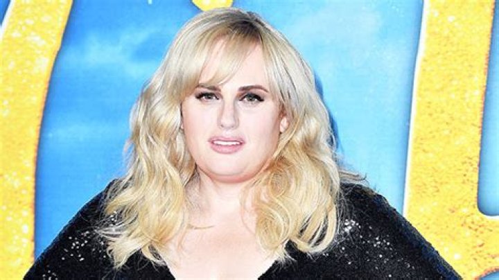 Rebel Wilson Dons Her ‘Lawyer’ Outfit In New Instagram Pic – Hollywood Life