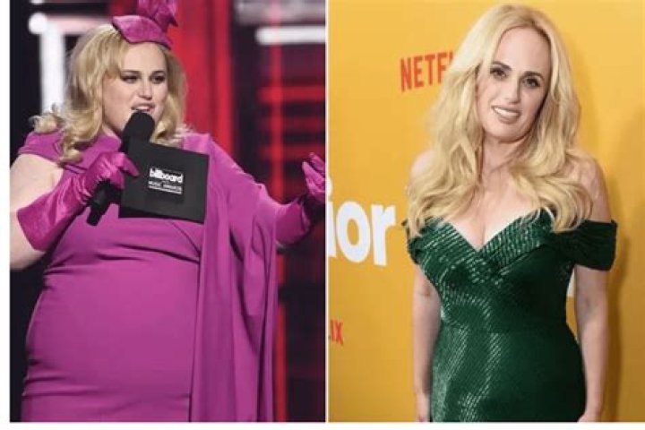 Rebel Wilson Stuns In Gorgeous Pink Dress During Romantic Getaway With New BF Jacob Busch