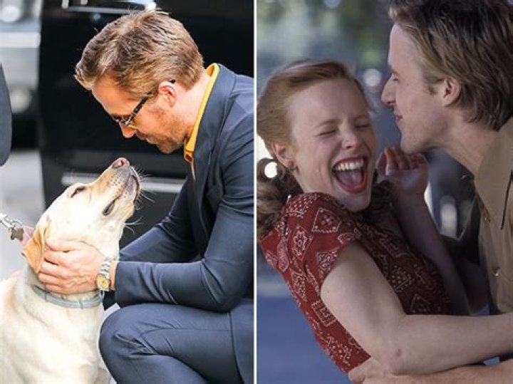 Recreates Famous ‘Notebook’ Scene With Pup In NYC – Hollywood Life