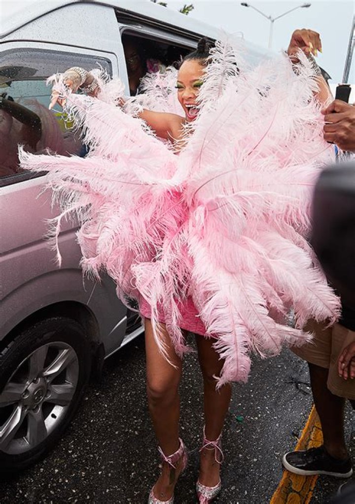 Rihanna’s Pink Feathers At Crop Over In Barbados — See Pics – Hollywood Life