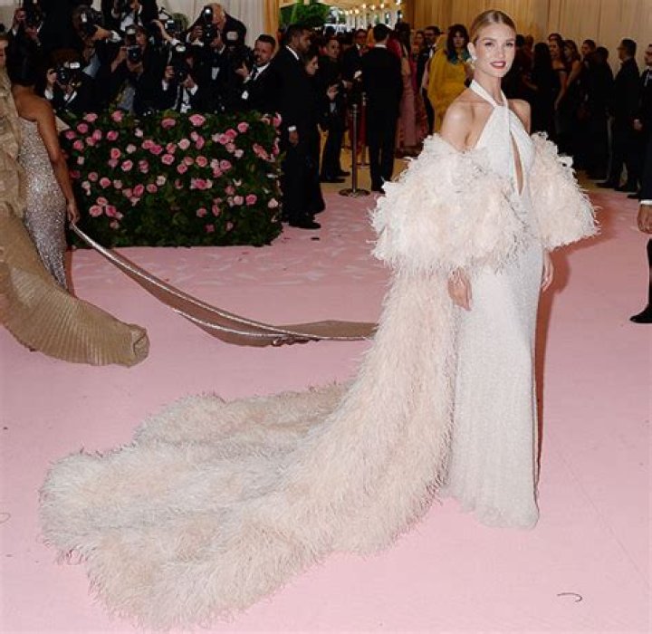 Rosie Huntington-Whiteley’s Dress At Met Gala 2019 — See Pics Of Gown – Hollywood Life