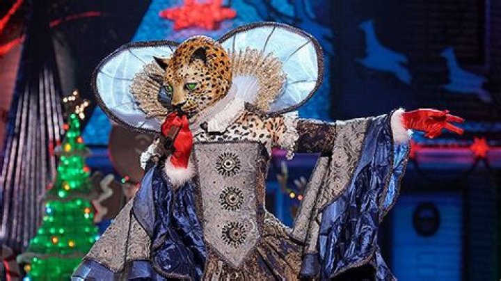 Seal Is The Leopard On ‘The Masked Singer’ — Semi-Finals Recap – Hollywood Life