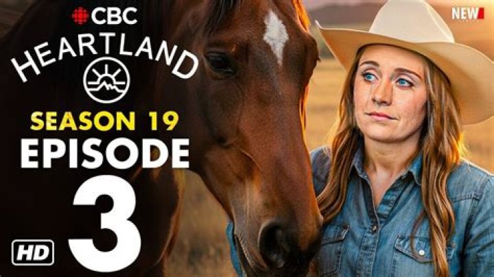 Season 19 Episode 3 Recap – Hollywood Life