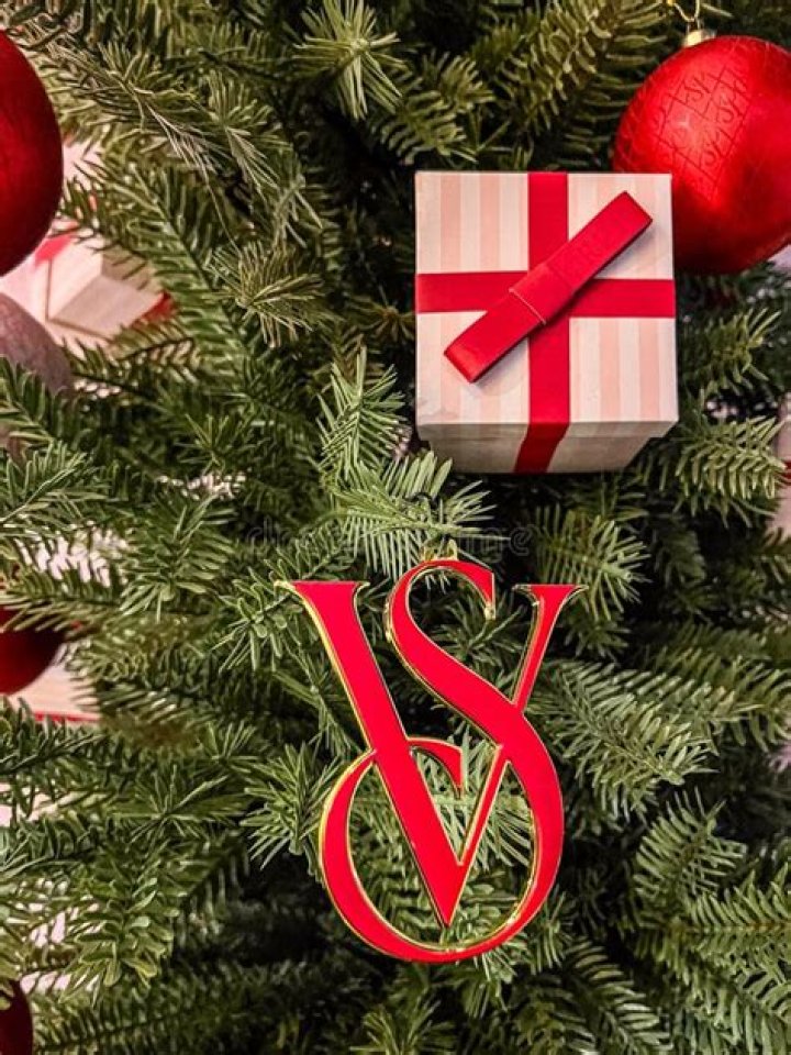 See The VS Christmas Ad — A Victoria’s Secret Holiday: PICS