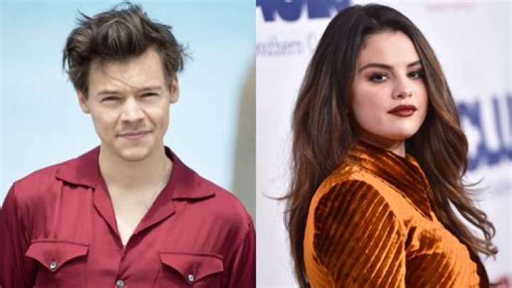 Selena Gomez, Harry Styles & Tyler, The Creator? – Hollywood Life