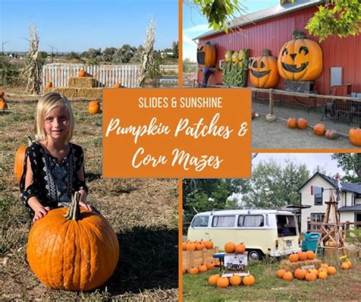 Sexy Celebs At Pumpkin Patches