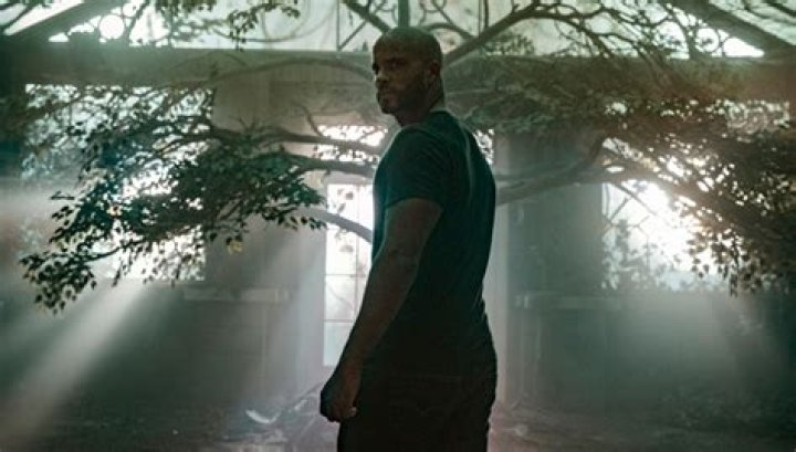 Shadow Moon Scoop From Ricky Whittle – Hollywood Life