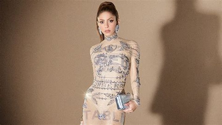Shakira’s Sheer Crystal Dress In Burberry Campaign: Photo – Hollywood Life