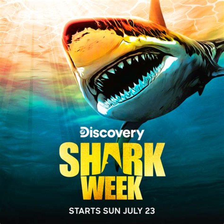 ‘Shark of Darkness’–Fake Documentary Starts Off Shark Week On Discovery Channel – Hollywood Life