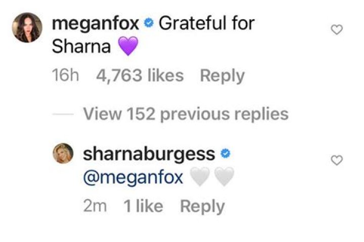 Sharna Burgess Sends Love To Megan Fox After Brian Austin Green’s Ex Says She’s ‘Grateful’ For Her