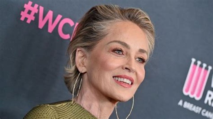Sharon Stone, 63, Channels Her ’Basic Instinct’ Character In Gorgeous New Photo Shoot — Pics