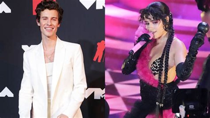 Shawn Mendes Adorably Dances To Girlfriend Camila Cabello’s Performance Of ‘Don’t Go Yet’ At VMAs