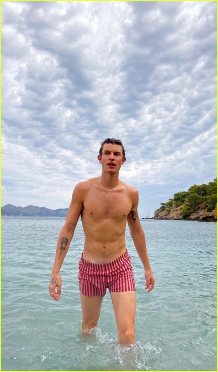 Shawn Mendes Goes For Shirtless Beach Swim After Running Into Ex Camila Cabello At Met Gala