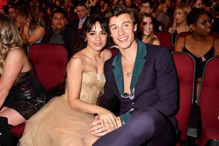 Shawn Mendes Reveals How Long He & Camila Cabello Have Really Been Dating & The Answer May Shock You