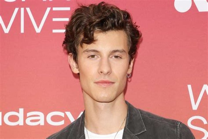 Shawn Mendes Says He’s Having ‘A Hard Time’ On Social Media After Camila Cabello Split