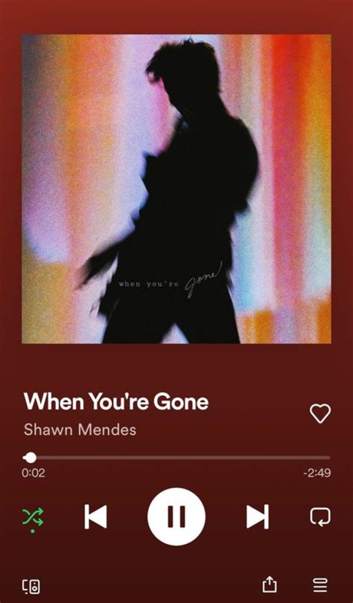 Shawn Mendes’ ‘When You’re Gone’ Lyrics About Camila Cabello – Hollywood Life