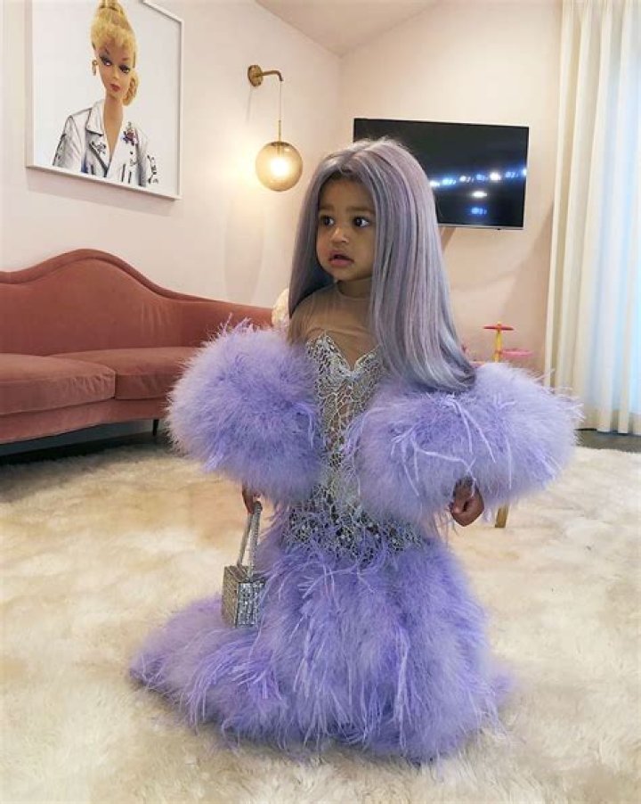 Stormi Webster’s Most Luxurious Belongings: $650 Prada Bag & More