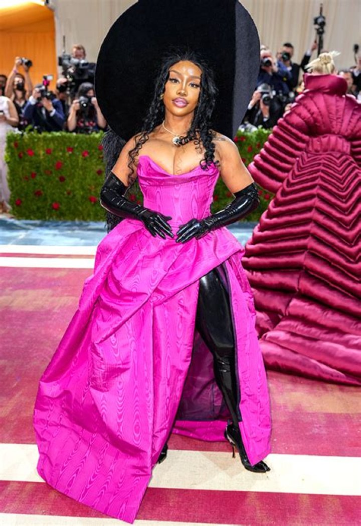 SZA Seems To Address Plastic Surgery Rumors In New Album Lyrics – Hollywood Life