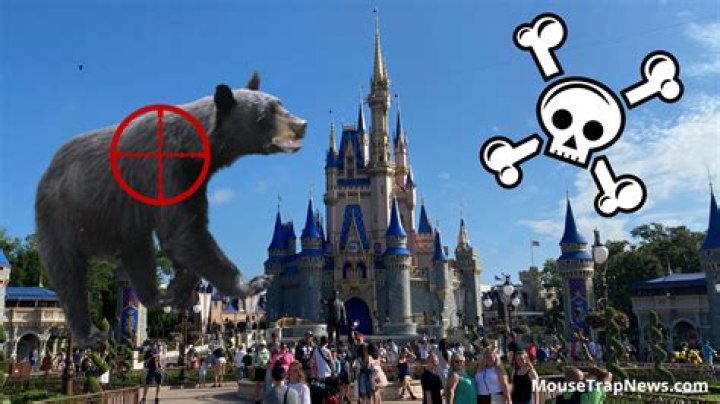 Teen Girl, 18, Awaiting Manslaughter Trial For Friend’s Suicide, Spotted At Disney World