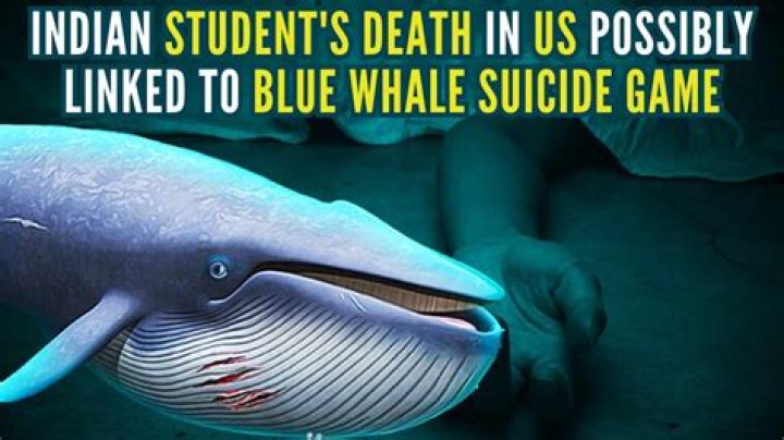 Teen Girl Commits Suicide: Connection To Blue Whale Challenge In Her Art