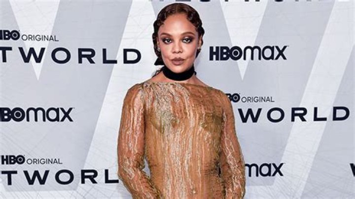 Tessa Thompson Rocks Sexy Sheer Dress At ‘Westworld’ Premiere: Photo – Hollywood Life