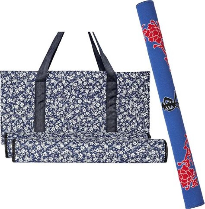 The Best Yoga Mat Carrying Bags in 2023 – Reviews by Hollywood Life – Hollywood Life