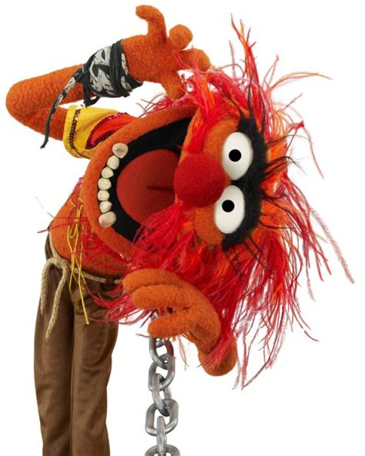 The Muppets — PICS