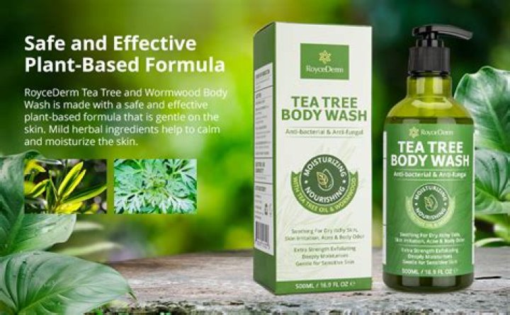 The Top Tea Tree Body Washes for 2024 – Reviews by Hollywood Life – Hollywood Life