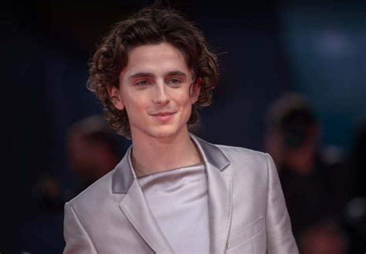 Timothee Chalamet Revealed Upcoming Birthday Plans in New Interview – Hollywood Life