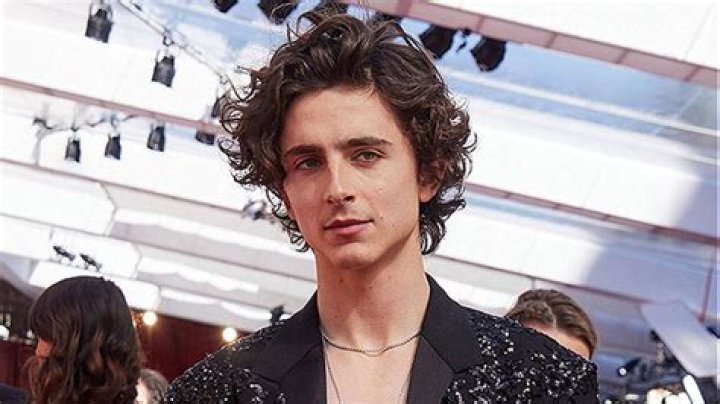 Timothee Chalamet Takes Shirtless Selfie After End Of Filming ‘Dune 2’ – Hollywood Life