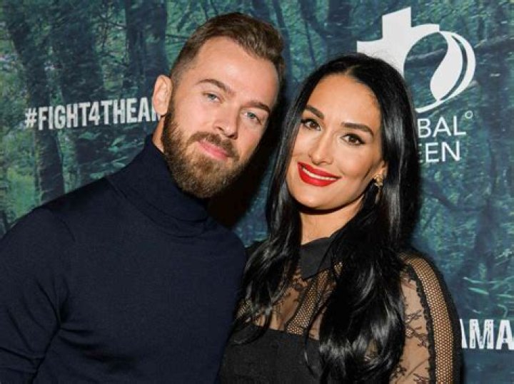 ‘Total Bellas’ Preview Reveals The Sweet Moment Artem Chigvintsev Proposed To Nikki Bella – Watch