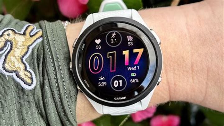 Treat Someone This Christmas To A Garmin Smartwatch Under $150 With Over 3.5k Reviews