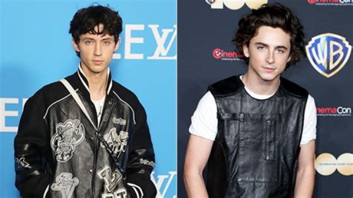 Troye Sivan Reacts to Timothee Chalamet’s ‘SNL’ Impression of Him – Hollywood Life