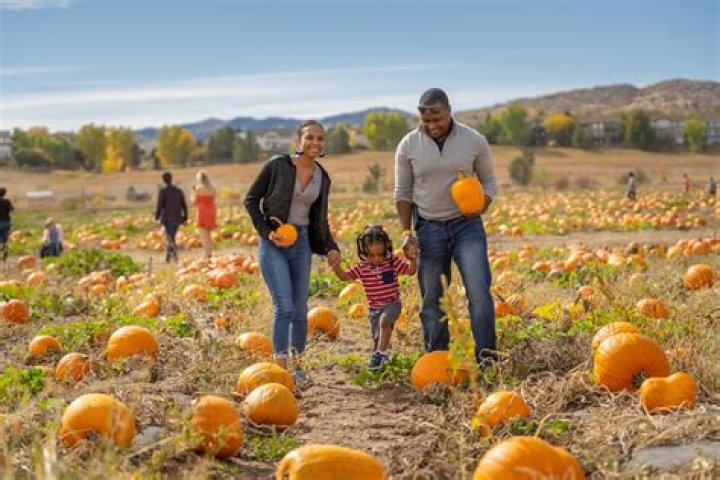 True Thompson, 2, Hosts ‘Tutu’s Pumpkin Patch’ Party With Cousins Chicago, 2 & Psalm, 1 – Watch