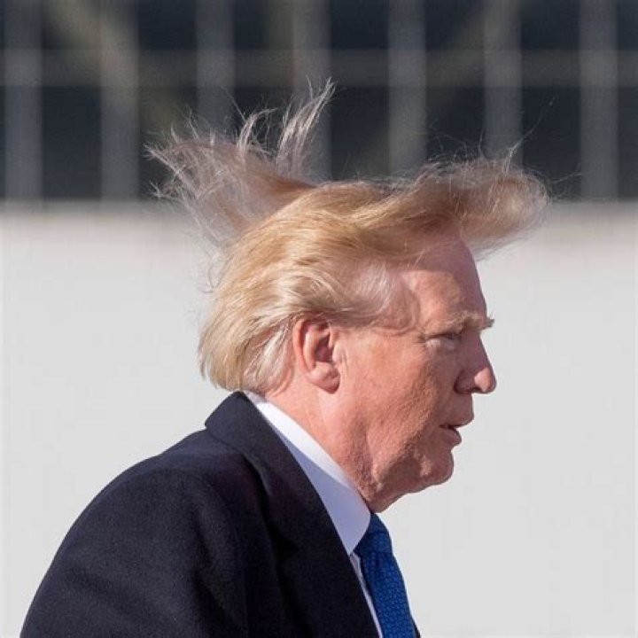 Trump Paid $70k On Hairstyling, According To NYT Report: Relive His Wackiest Hair Moments Ever