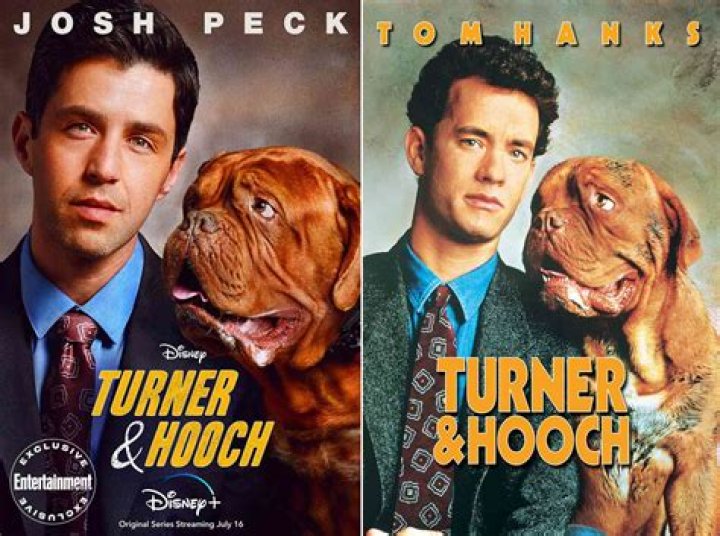 ‘Turner & Hooch’ — Photos Of Josh Peck’s Reboot Of The Classic Movie – Hollywood Life