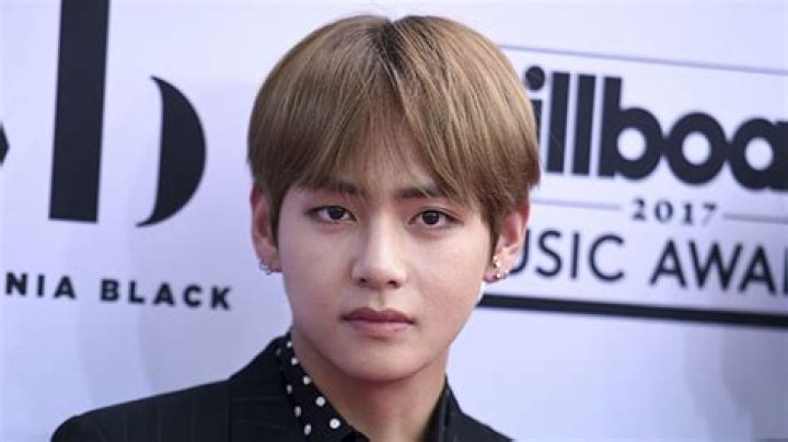 V Celebrity Profile | Musician – BTS – Hollywood Life