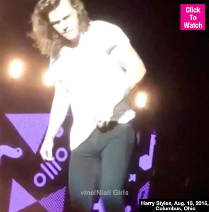 [VIDEO] Harry Styles Adjusting Himself On Stage — Caught Red Handed – Hollywood Life