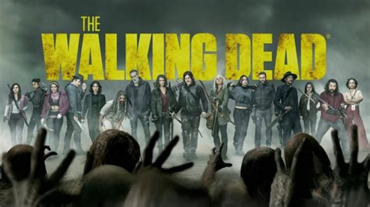‘Walking Dead’ Star Welcomes 1st Child – Hollywood Life