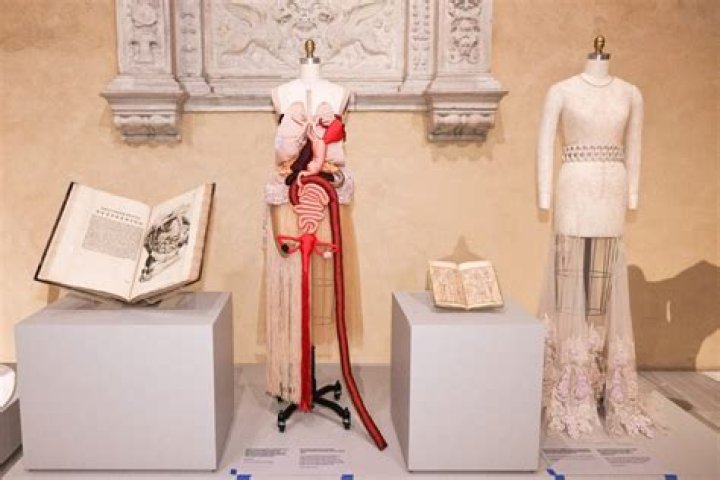Where is the Met Gala Held? About The Museum & Costume Institute – Hollywood Life