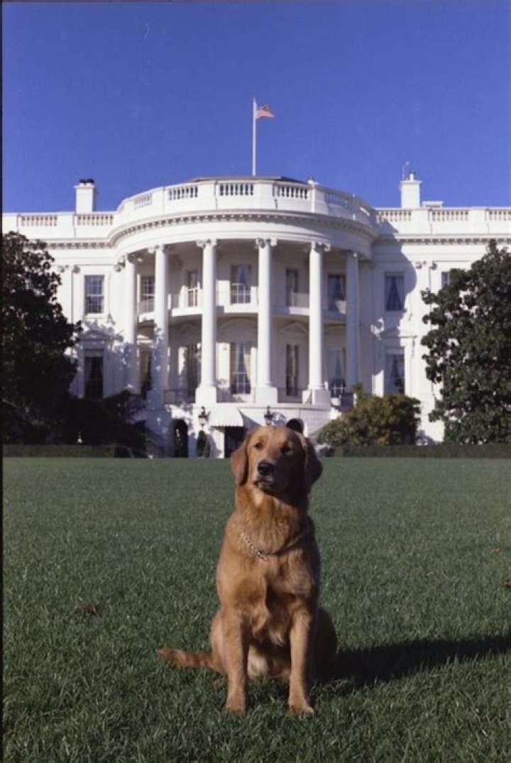 White House Getting New Presidential Pet – Hollywood Life