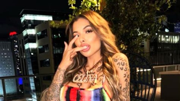 Who Is Celina Powell? 5 Things on Offset’s Alleged Pregnant Side Chick – Hollywood Life