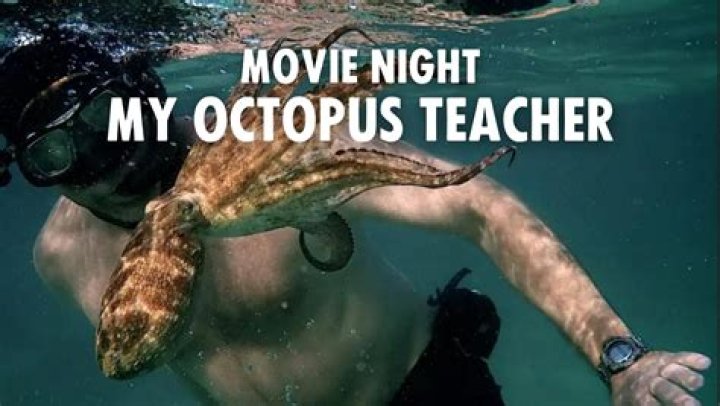 Who Is Craig Foster? — About The ‘My Octopus Teacher’ Star – Hollywood Life