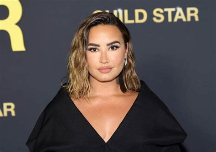 Who Is Dallas Lovato? 5 Things About Demi Lovato’s Sister – Hollywood Life