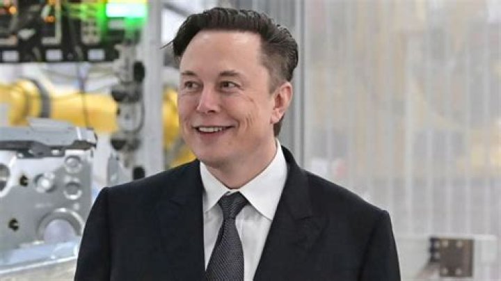 Who Is Errol Musk? Here Are 5 Things About Elon Musk’s Dad – Hollywood Life