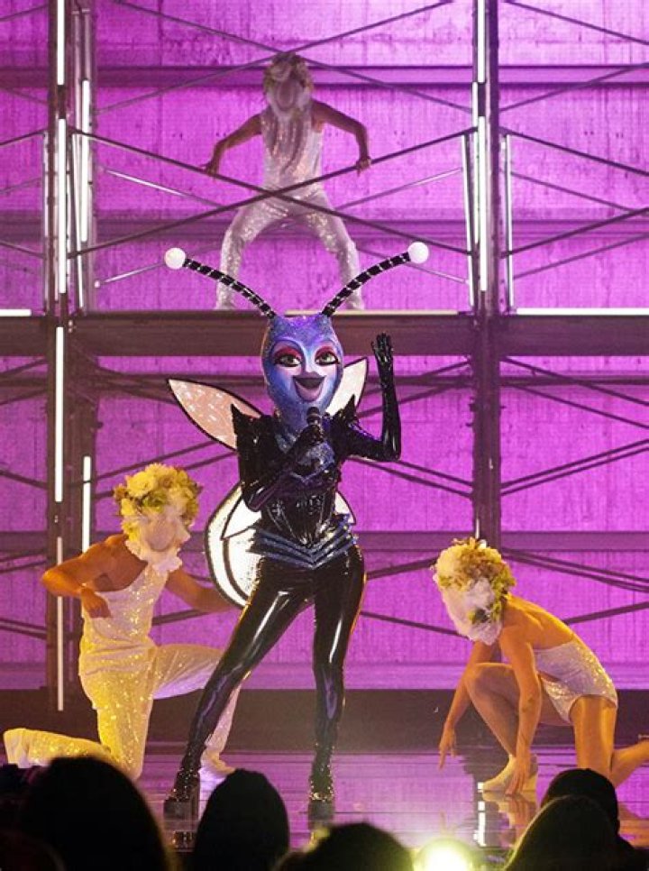 Who Is The Firefly On ‘The Masked Singer’? All The Identity Clues – Hollywood Life